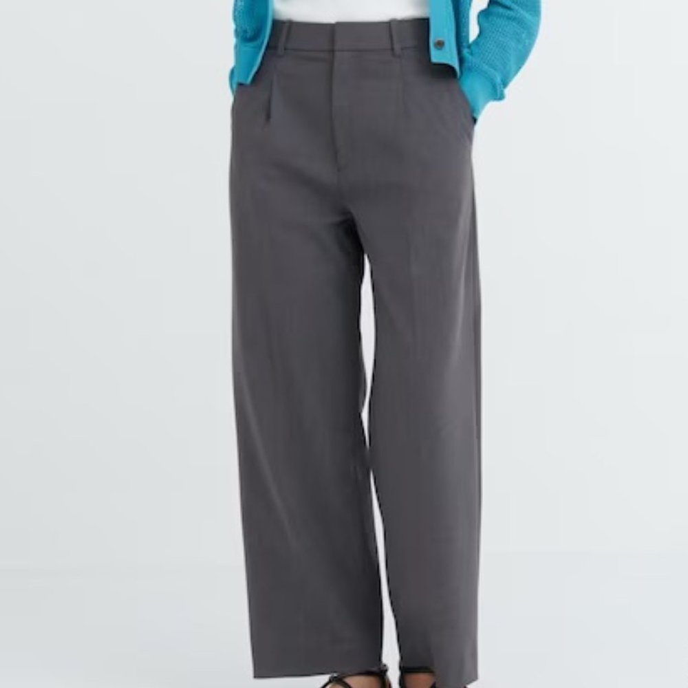 Uniqlo Wide-Fit Pleated Pants, Gray